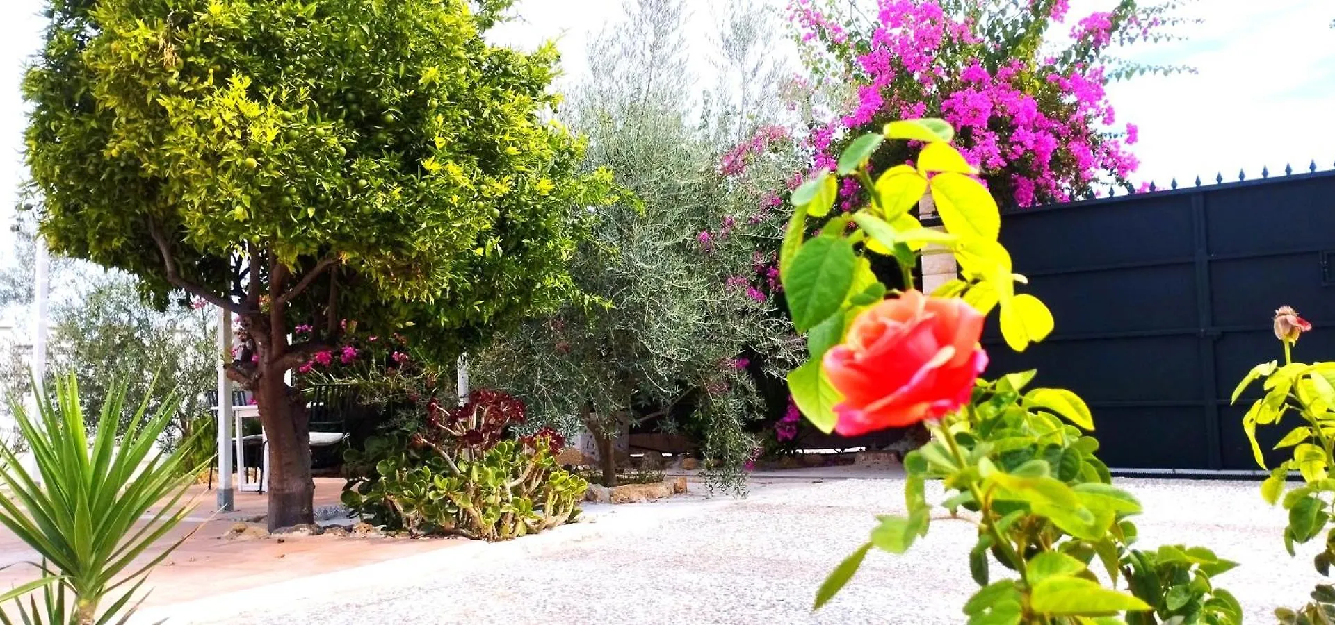 Finca El Aulagar Malaga Holiday home